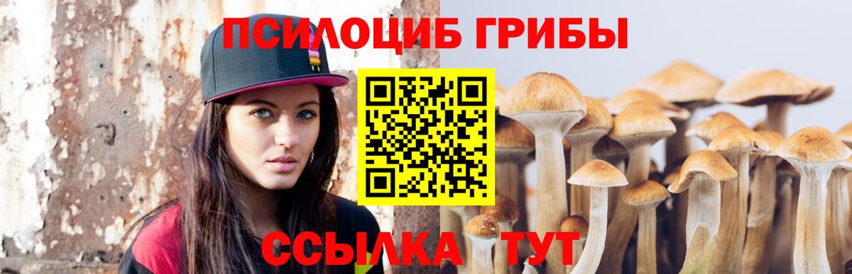 Глазов  Псилоцибиновые грибы прущие грибы  Вход с VPN 